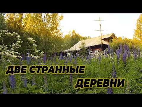 Видео: жесть , тут есть кто живой , заброшенная деревня и поселок .