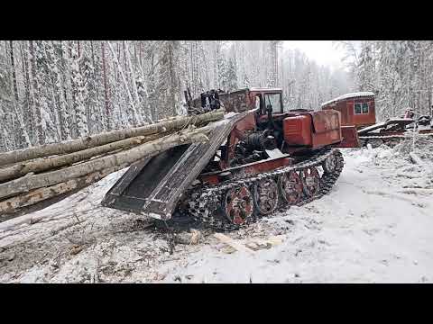 Видео: В мороз на волок , ТДТ 55.