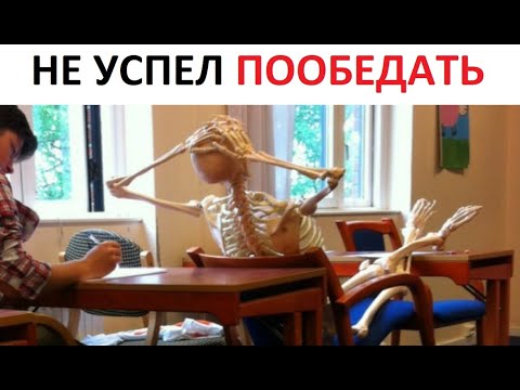 Видео: Лютые приколы. Когда забыл пообедать на большой перемене
