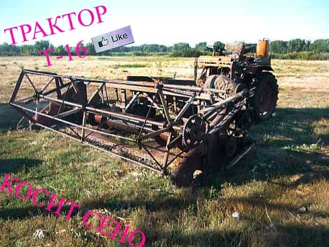 Видео: Трактор Т16 косит сено.
