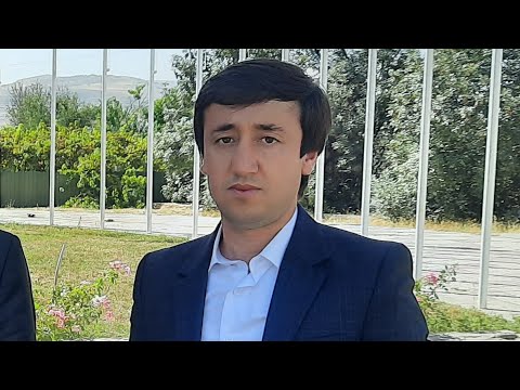 Видео: Nekruzi alizod чиста базми туёна сартрошон