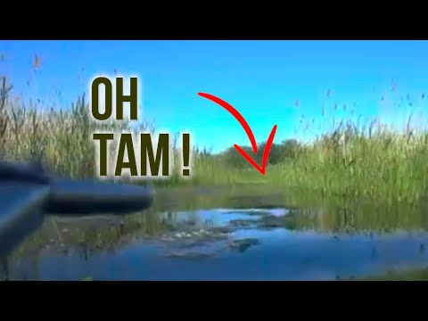 Видео: Подводная охота весной. Ищем рыбные тропы