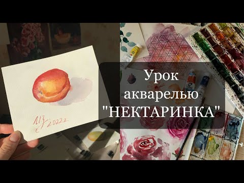 Видео: Как рисовать акварелью. Мини Урок. Упражнение на акварель. Рисуем фрукты.