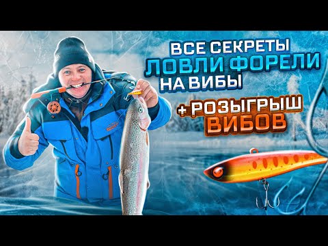 Видео: Форель на вибы со льда. Зимняя рыбалка на форель по первому льду.