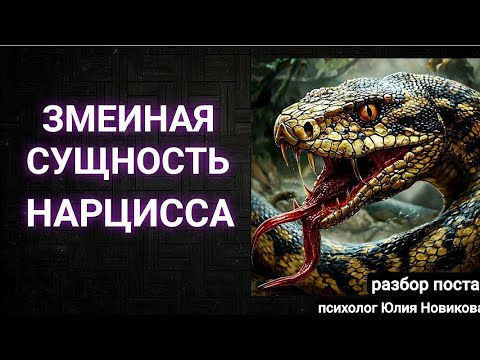 Видео: Змеиная сущность нарцисса #нарцисс