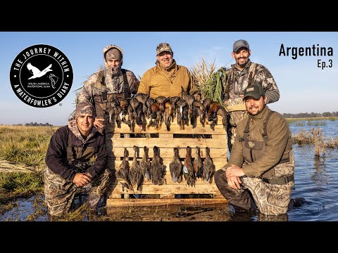 Видео: Как работает удача, 4-й день в Аргентине | Путешествие внутрь себя, Южная Америка, охота на водоп...