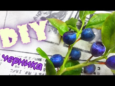 Видео: Веточка  с ягодами черники из полимерной глины.  Мастер класс по холодному фарфору.