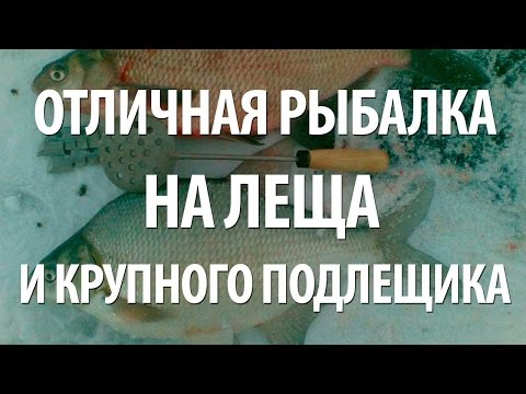 Видео: УСПЕШНАЯ ЗИМНЯЯ РЫБАЛКА на ЛЕЩА и ПОДЛЕЩИКА в ПОДМОСКОВЬЕ на МОРМЫШКУ со ЛЬДА