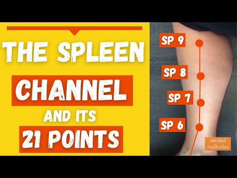 Видео: Меридиан селезеночного канала и его 21 акупунктурная точка селезенки (функции и местоположение)