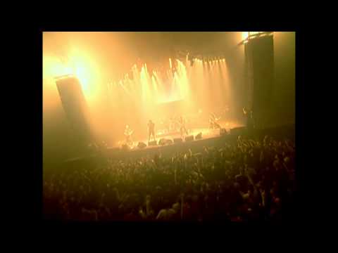 Видео: [AMATORY] - Клетка (Live Evil)