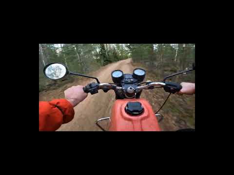 Видео: ЯВА 638 ИЖ Планета 5, конец сезона 2024 года