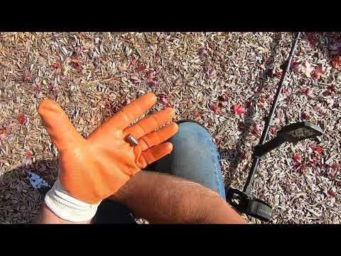 Видео: Minelab Manticore M9 на игровой площадке. Монеты в изобилии.