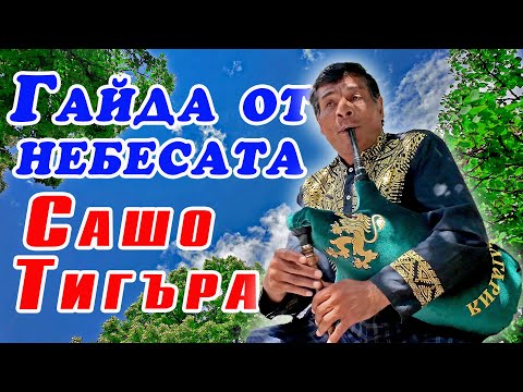 Видео: 🎶 Сашо Тигъра –Легендата на уличната гайда в Сливен 🇧🇬 | Българска народна музика#СашоТигъра #Гайда