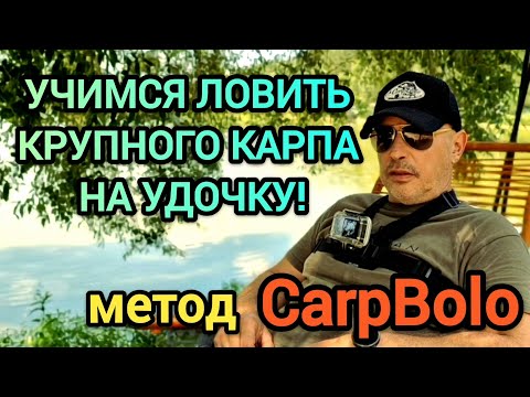 Видео: Учимся ловить крупного карпа на удочку! 