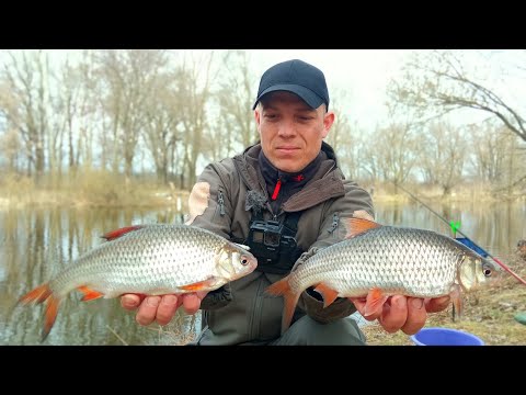Видео: КОСИМ КРУПНУ ПЛОТВУ НА ВІДВІДНИЙ ПОВОДОК. Рибалка на спіннінг 2023