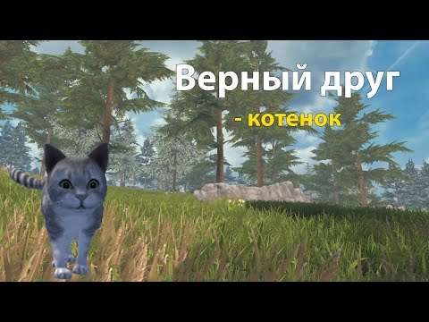 Видео: Соло выживание на блади в Lios.