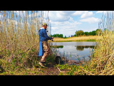 Видео: КАК НА ЭТО МОЖЕТ ТАК КЛЕВАТЬ?!РЫБАЛКА В КОНЦЕ МАЯ!МОРМЫШИНГ 2024