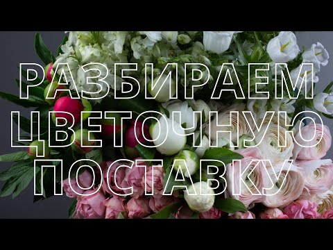 Видео: Разбираем цветочную поставку