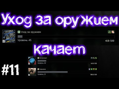 Видео: День Одиннадцатый 🔴 Ур. 41 | Навыки в Escape From Tarkov