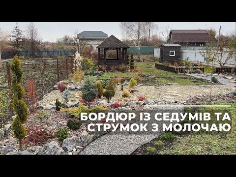 Видео: Бордюр із седумів та струмок з молочаю