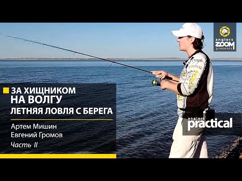 Видео: За хищником на Волгу. Летняя ловля с берега. Часть 2. Anglers Practiсal