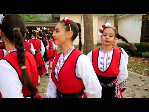 Видео: Стефан Цонев- Дончевски буенек