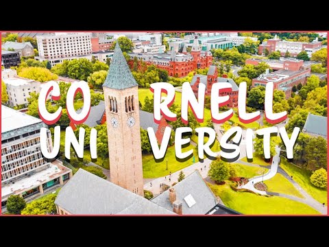 Видео: Экскурсия по кампусу Корнеллского университета🌳 (самый красивый кампус колледжа)