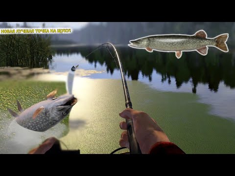 Видео: НОВАЯ ЛУЧШАЯ ТОЧКА НА ЩУКУ! СТАРЫЙ ОСТРОГ ОПЯТЬ НАЧИНАЕТ РАДОВАТЬ?!