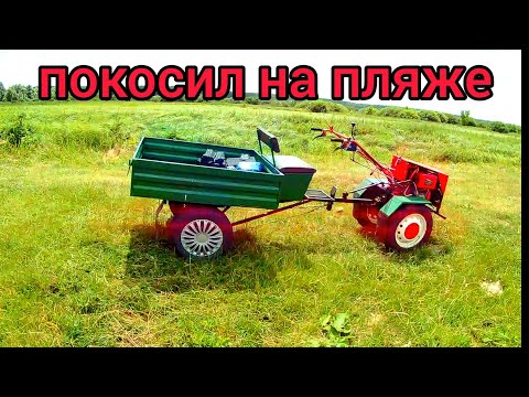 Видео: Мотоблок Форте. Покосил на пляже.