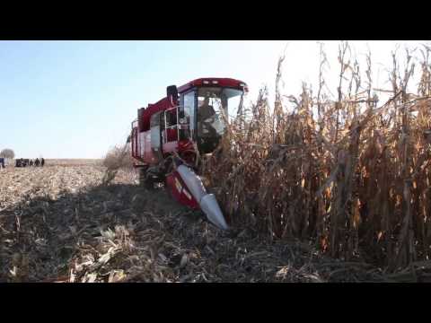 Видео: Партнёр «Гомсельмаша» в Китае – «Цзуншень-Гомель»