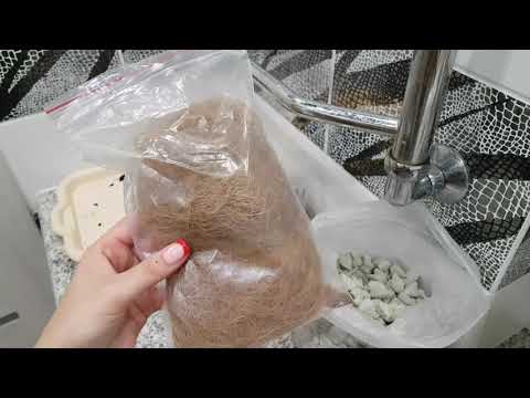 Видео: БЫВШАЯ реанимационная орхидея идёт в ПОСАДКУ.Закрытая система посадки.Кокосовое волокно для орхидей