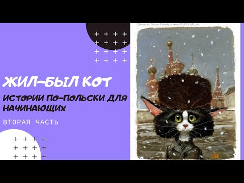 Видео: Истории по-польски для начинающих. Жил-был Кот. Часть 2. Польский язык слушать. Подкасты по-польски
