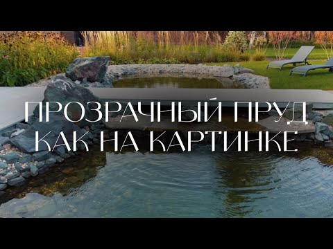 Видео: ПРУД КАК В СКАЗКЕ. Природная красота.