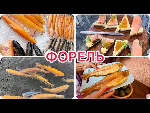 Видео: Адлер// Форелевое хозяйство// Что поели? Что купили?