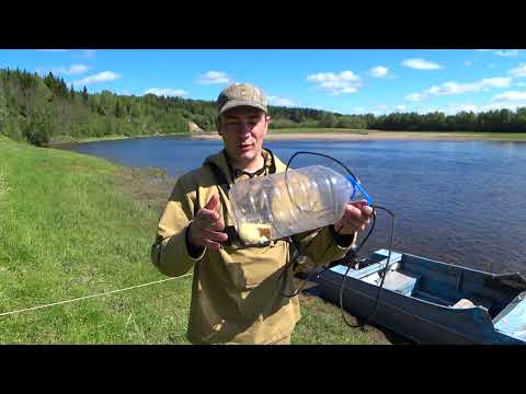 Видео: ТАК Я РЫБАЧИЛ В ДЕТСТВЕ / РЫБАЛКА НА БАНКУ / РЕЧНОЙ ГОЛЬЯН. РЕКА ПИЖМА.