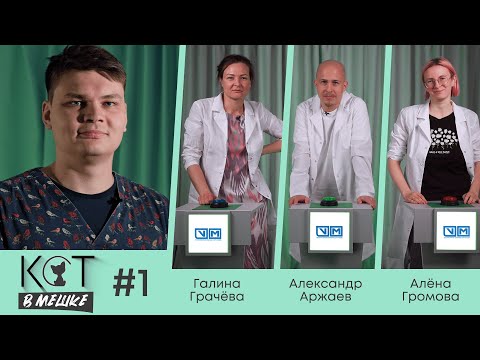 Видео: Кот в мешке #1 Грачёва, Аржаев, Громова