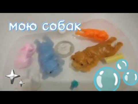 Видео: 🫧мою сквиши собак🫧💧