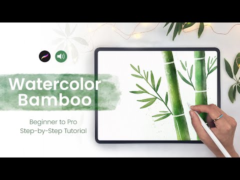 Видео: Как рисовать бамбук акварелью в Procreate • От новичка до профессионала • Пошаговое руководство