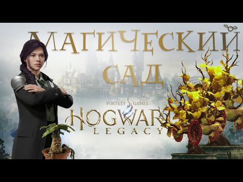 Видео: #14 🌱 ВЫРУЧАЙ-КОМНАТА и МАГИЧЕСКИЙ САД! Зелья, растения и алхимия без границ • Hogwarts Legacy 100%