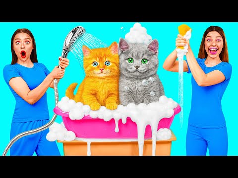 Видео: Я Врятувала Бездомних Тварин