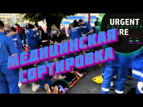 Видео: Сортировка пострадавших в зоне ЧС