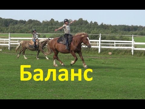 Видео: Ещё раз о балансе в верховой езде