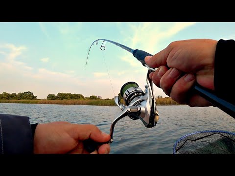 Видео: ЩУКЕ НРАВИТСЯ ТАКОЙ ЦВЕТ!Щука на ратлины!Рыбалка на спиннинг осенью!