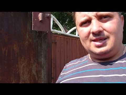 Видео: Это Отличный Помол Зерна для Свиней