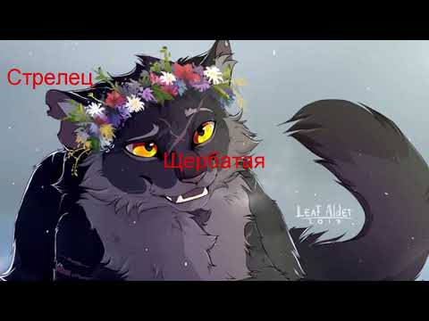 Видео: Гороскоп по знакам зодиака - Коты Воители.