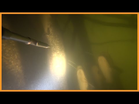 Видео: ДЕСНА, ЗНАЙШОВ СОМА | ПІДВОДНЕ ПОЛЮВАННЯ 2023