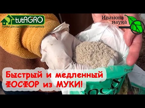 Видео: ПРИРОДНЫЕ УДОБРЕНИЯ КОСТНАЯ и ФОСФОРИТНАЯ МУКА: как выбирать, покупать, проверять и использовать.