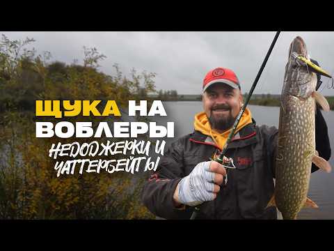 Видео: Ловля Щуки на Воблеры Спиннинг на Пруду Недо Джерки и Чаттербейты