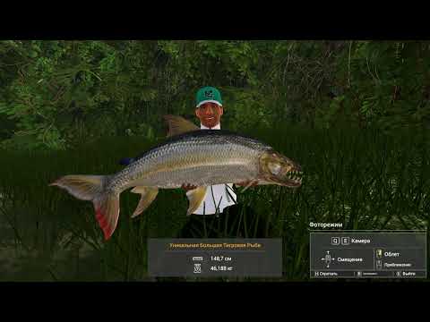 Видео: Fishing Planet. Река Конго. Прокачка ЛВЛов, на Тигровых Рыбах