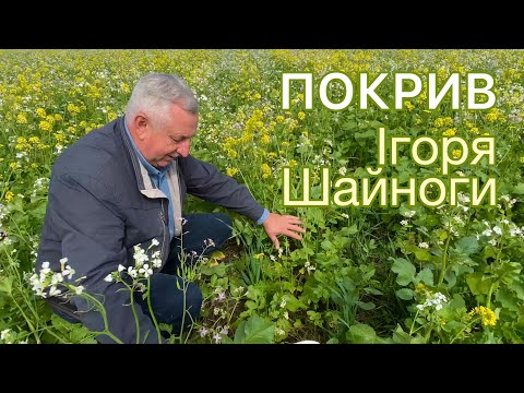 Видео: Суміш покривних культур Ігоря Шайноги